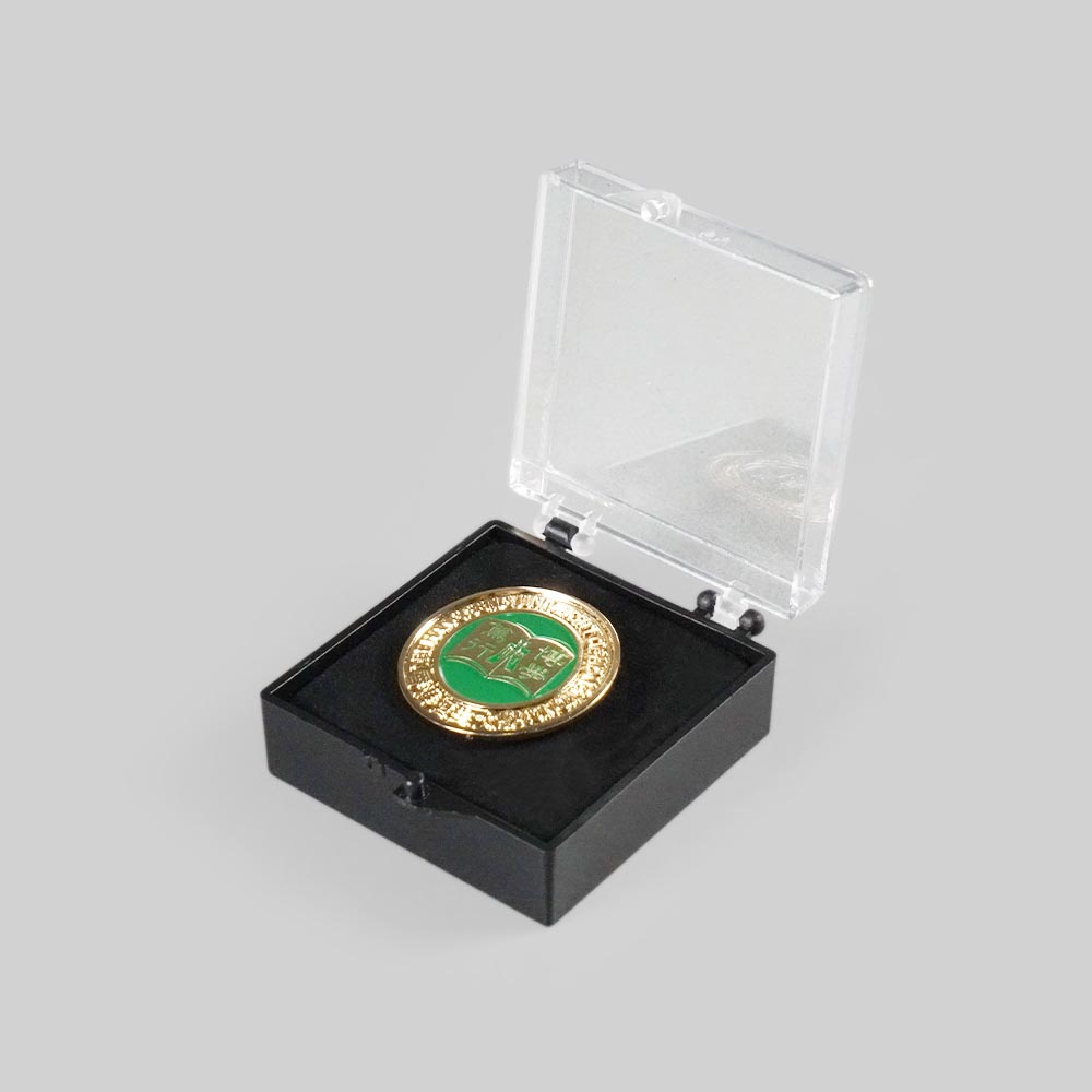 School Pin / Badge